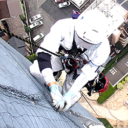 鳩対策事業部