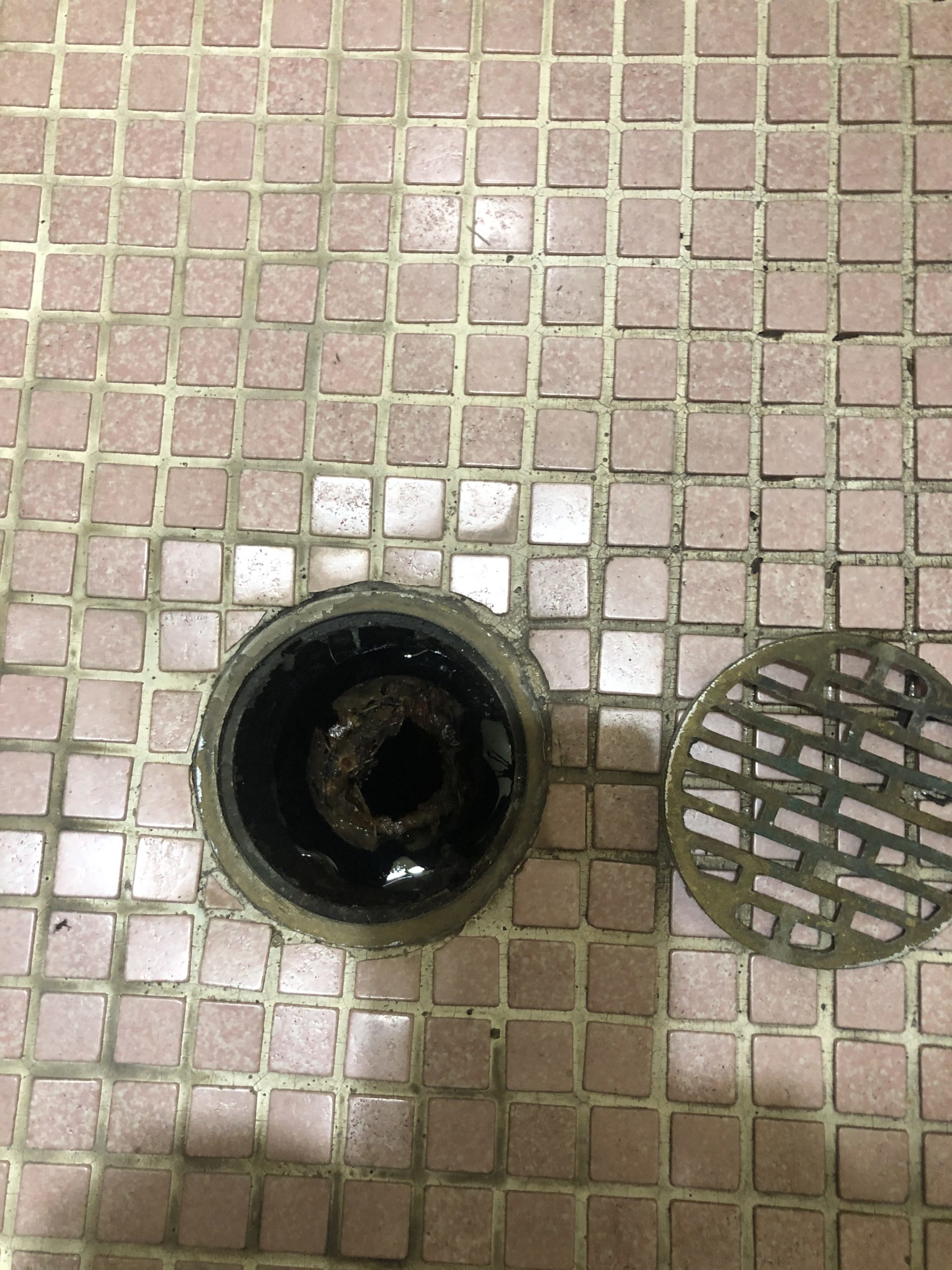 床の排水溝を掃除し流れるようにしました。 大阪・東京【株式会社ベル】大阪・東京【株式会社ベル】 床の排水溝を掃除し流れるようにしました。 大阪・東京【株式会社ベル】大阪・東京【株式会社ベル】